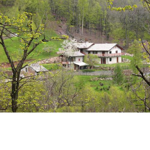Residence Joy Center
