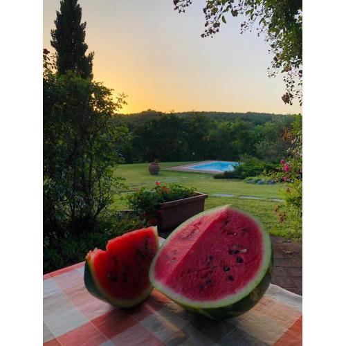 Residence Lucignano