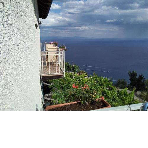 Residence Pizzo Corvo
