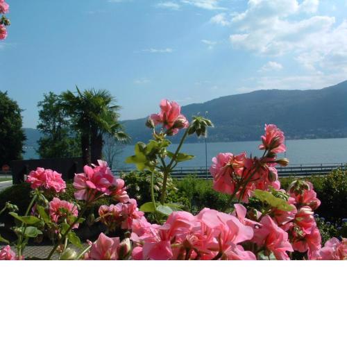 Residence Tre Ponti