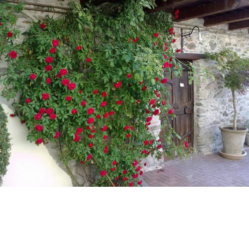 Residenza Antica Corte Villa Picta