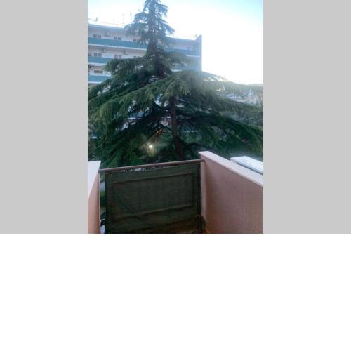 Residenza Giovanni Paolo Secondo- Casa sull’albero