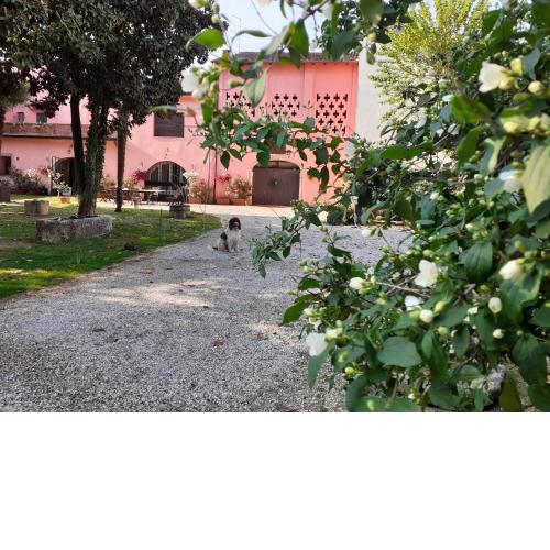 Residenza La Dimora ImPerfetta