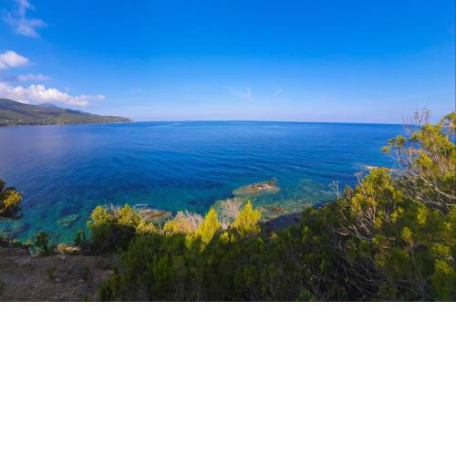 Residenza Le Tartarughe