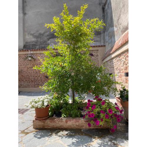Residenza Nikol appartamento Giulia