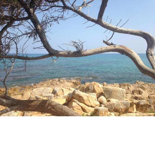 RESIDENZA SARDINIA OROSEI