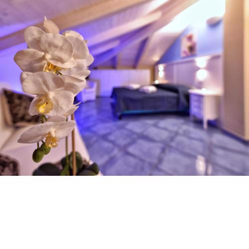 Residenza Vinci Room & Suite