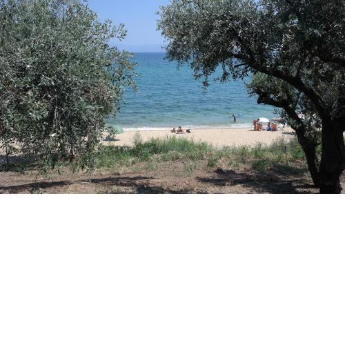RHOMBUS by the sea