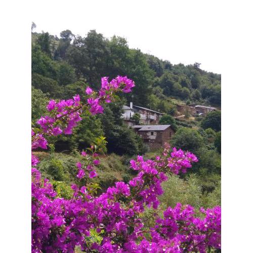 Ribera Sacra ( apartamento Rural )