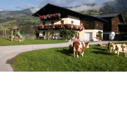 Rieserhof/Fam. Meißnitzer