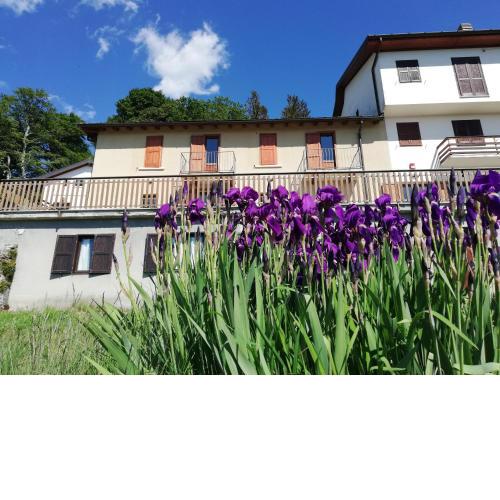 Rifugio Campiglio