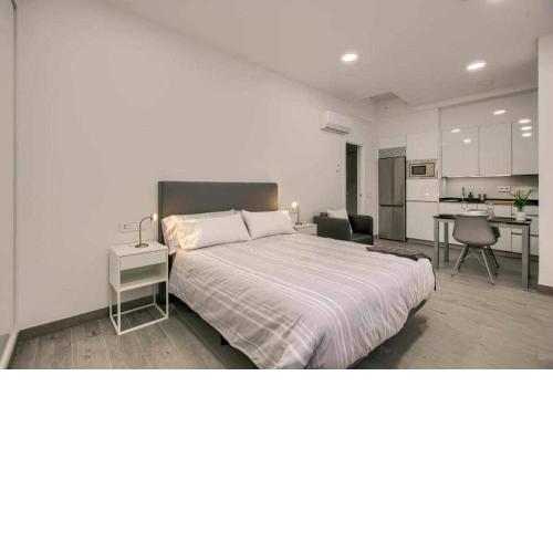 RiNa MADRID apartamento1