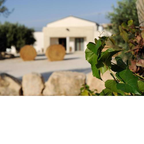 Riofavara Winery