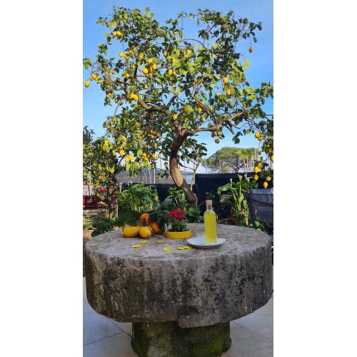 RITA HOME B&B SORRENTO