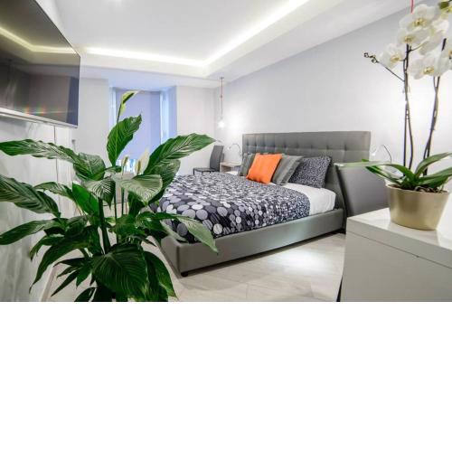 Riviera Luxury Suites