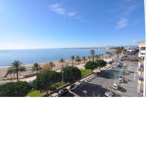 RNET - La Palmera Roses