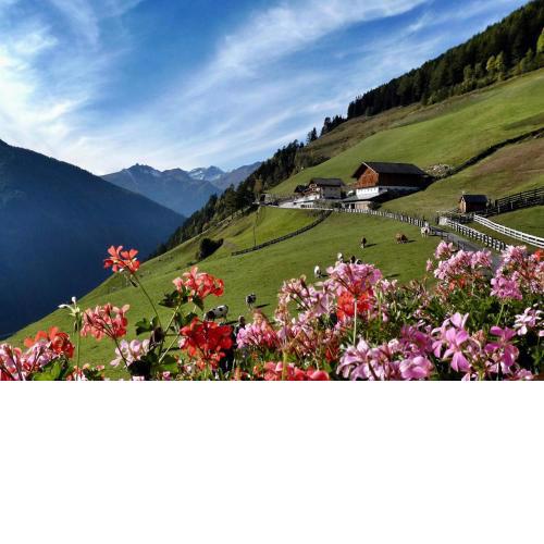 Roanerhof