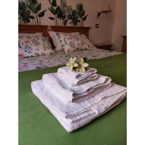 Rodoflor Rooms