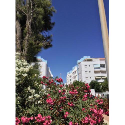 Romanilla Playa P4-P7