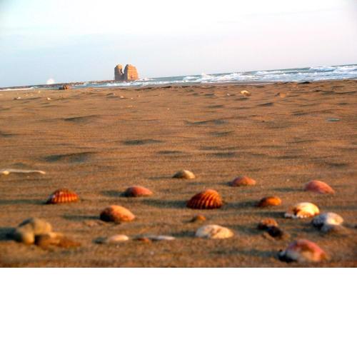 Rome and the Beach Chianti