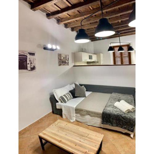 Rome center apt