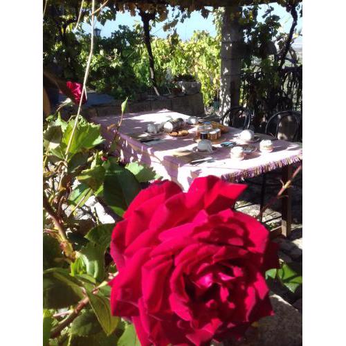 Ronnavona Casa Vacanze B&B