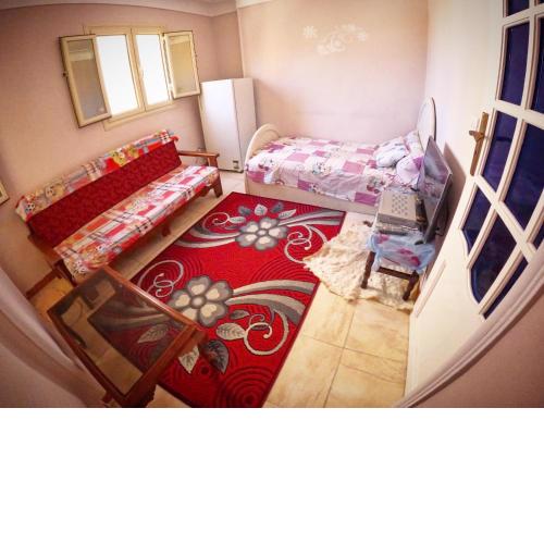 Room in Apartment - Best Price In Downtown, Walk Everywhere