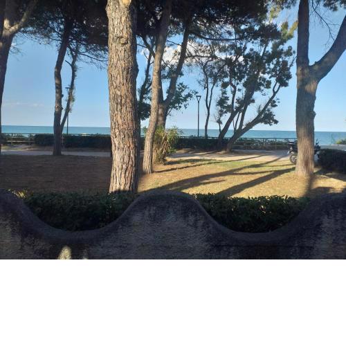 Room in BB - Bright quadruple room a stones throw from the sea