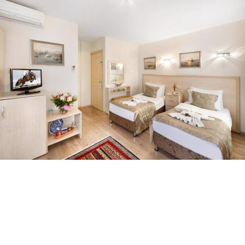 Room in Guest room - Anice family room with buffet breakfast very close to Blue Mosque