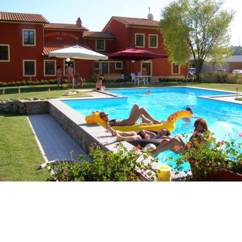 Room in Holiday house - Apartment in Farmhouse Casolare dei Fiori