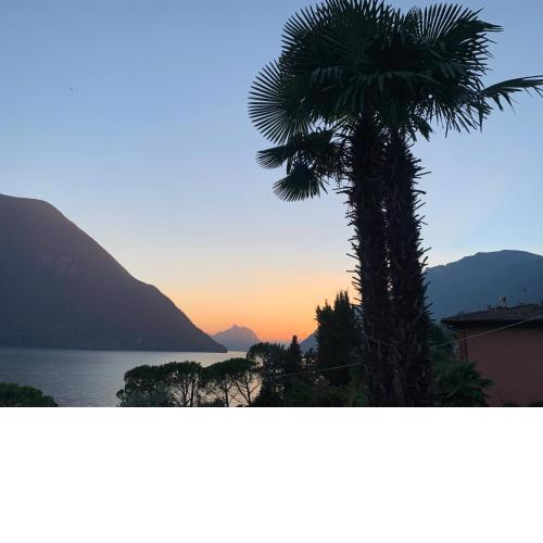 Room with a View