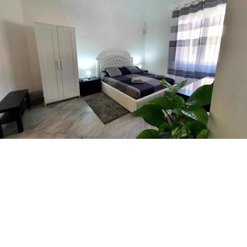 rooms cris