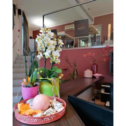 Rooms&Apartments Hotel Danci