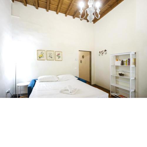 Roomy and elegant apartment by Piazza Pitti