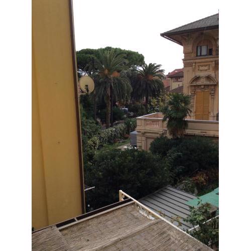 Rosa Tramonto Portofino