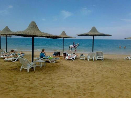Royal Beach Resort