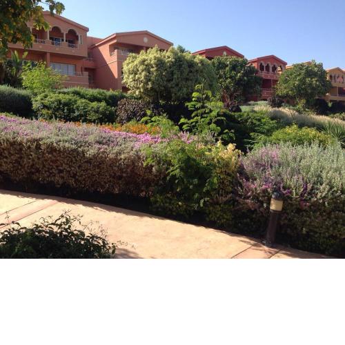 Royal Chalet Porto Sokhna عائلات فقط