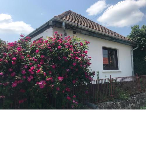 Rozsa House - Village Retreat