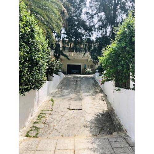 ΝΙRΑSΤΕRΟ - The house in the trees