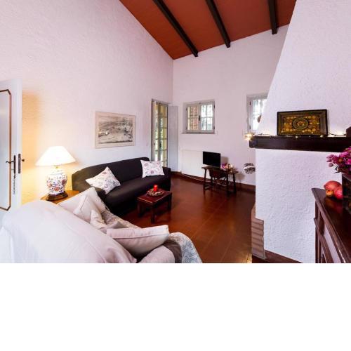 Rustic Holiday Home near Cortona with Private Swimming Pool