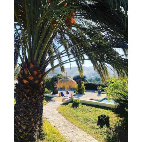 Rustico Appartment 'Olta' in finca, see-and garden side
