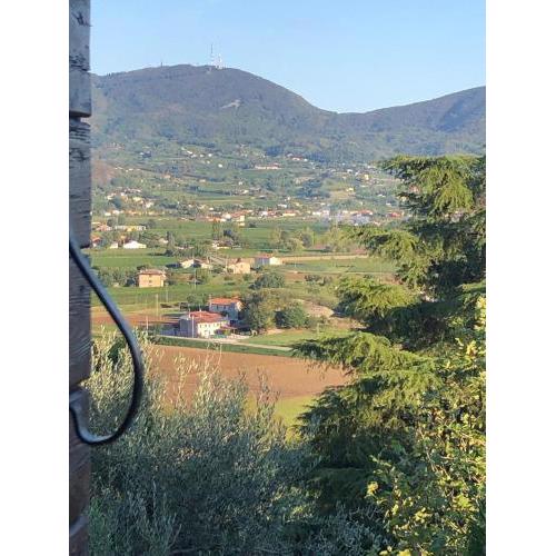 Rustico del vigneto