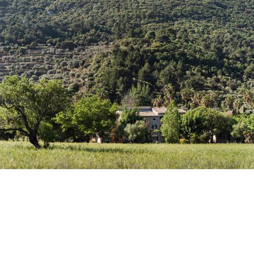 Sa Sinia - Finca rural at the heart of Tramuntana