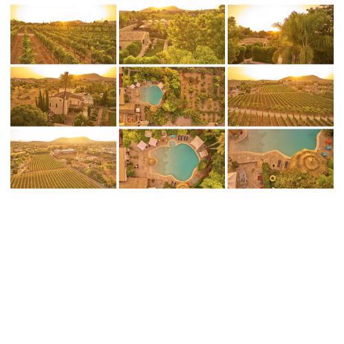 Sa Vinya des Convent - Hotel Bodega
