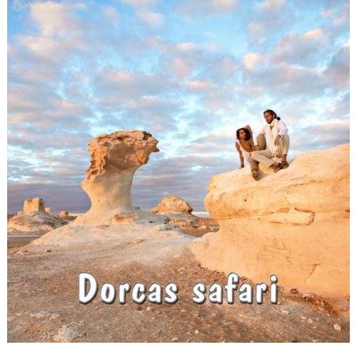 Safari trips in Egyptian Western Desert