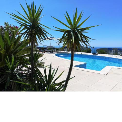 Saha tourist accommodation among olive trees and sea view