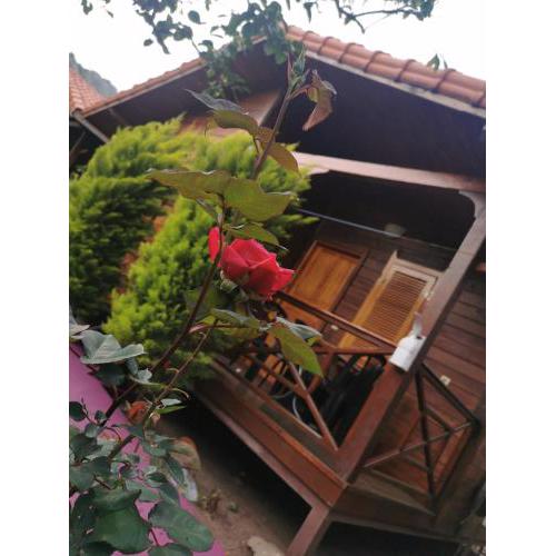 Sahil pansiyon bungalow