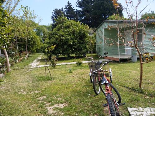 SaklıBahçe Pension