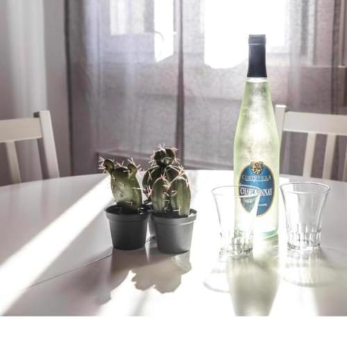 SALAMON GUEST HOUSE