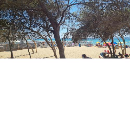 Salento home